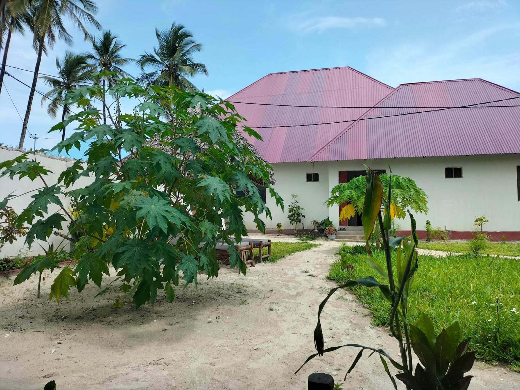 Mambo Leo Hostel Paje Zewnętrze zdjęcie