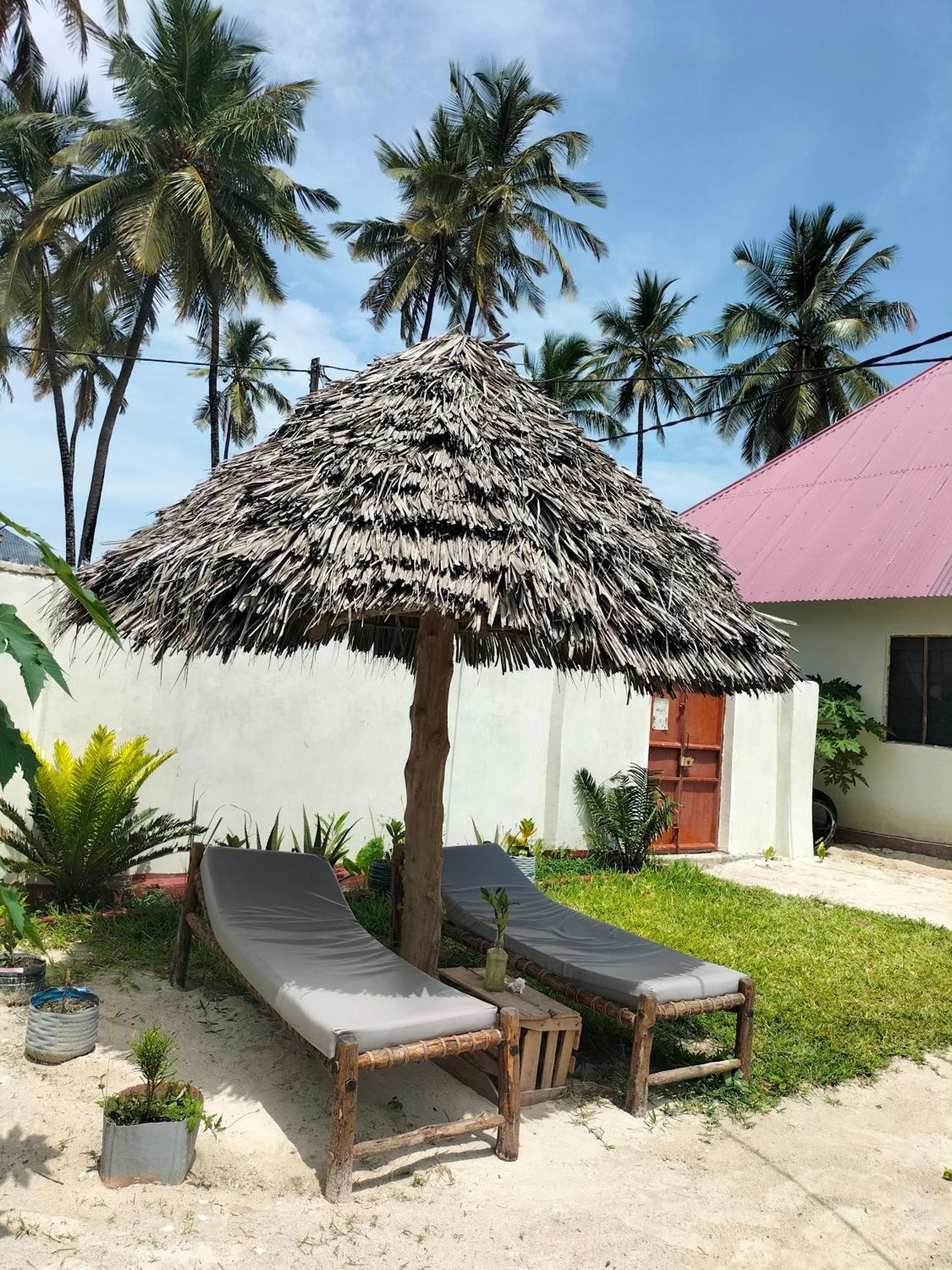 Mambo Leo Hostel Paje Zewnętrze zdjęcie