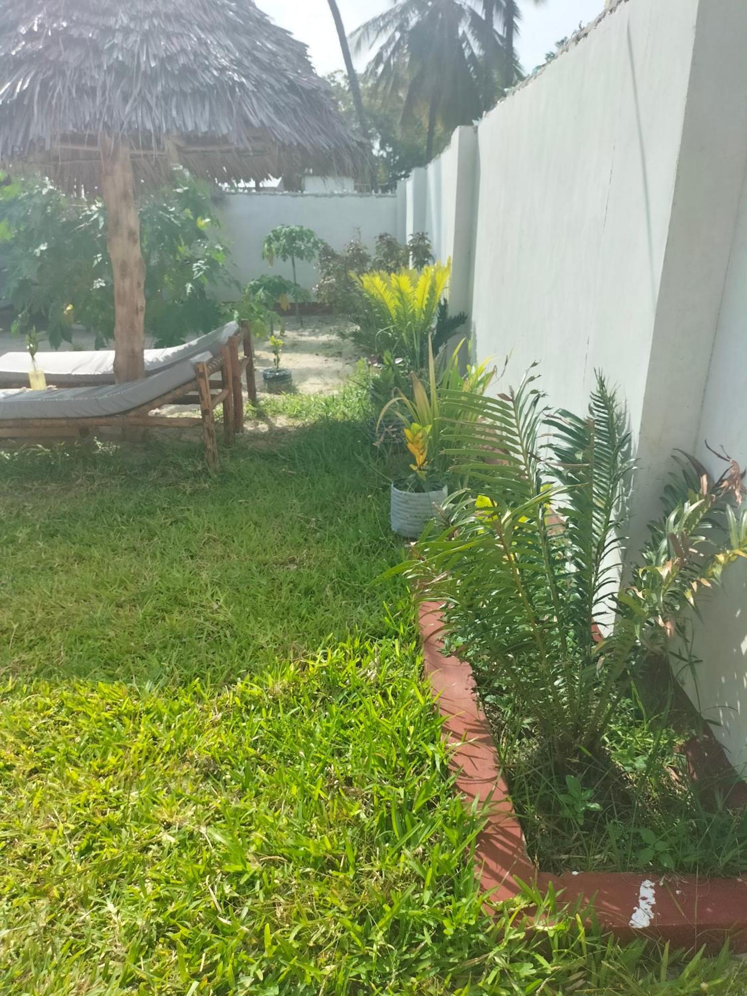 Mambo Leo Hostel Paje Zewnętrze zdjęcie